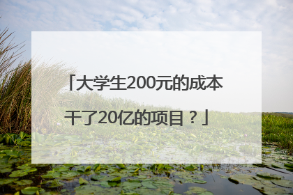 大学生200元的成本干了20亿的项目？