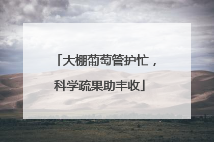 大棚葡萄管护忙，科学疏果助丰收