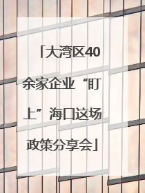 大湾区40余家企业“盯上”海口这场政策分享会