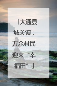 大通县城关镇：万余村民迎来“幸福田”