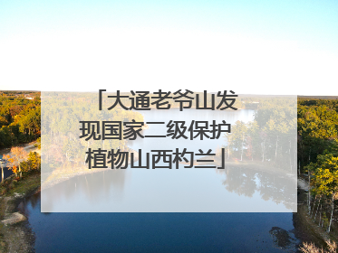 大通老爷山发现国家二级保护植物山西杓兰