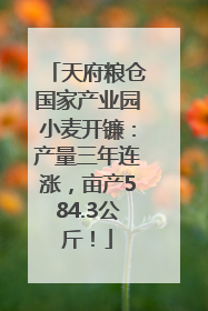 天府粮仓国家产业园小麦开镰：产量三年连涨，亩产584.3公斤！
