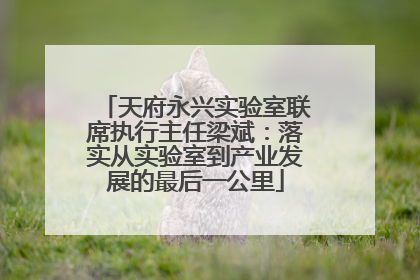 天府永兴实验室联席执行主任梁斌：落实从实验室到产业发展的最后一公里