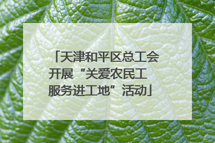天津和平区总工会开展“关爱农民工 服务进工地”活动