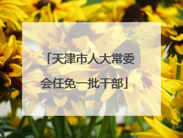 天津市人大常委会任免一批干部