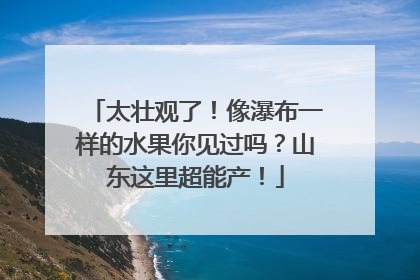 太壮观了！像瀑布一样的水果你见过吗？山东这里超能产！