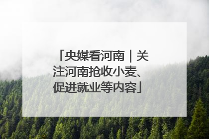 央媒看河南｜关注河南抢收小麦、促进就业等内容