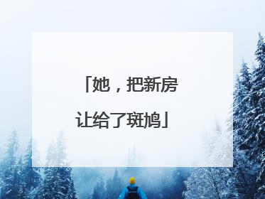 她，把新房让给了斑鸠