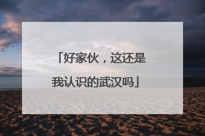 好家伙，这还是我认识的武汉吗