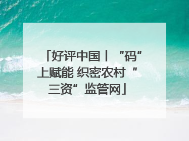 好评中国丨“码”上赋能 织密农村“三资”监管网