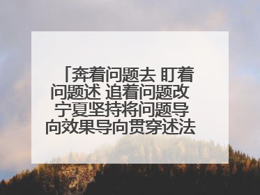 奔着问题去 盯着问题述 追着问题改 宁夏坚持将问题导向效果导向贯穿述法工作始终