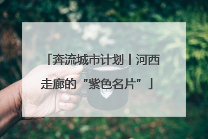 奔流城市计划丨河西走廊的“紫色名片”