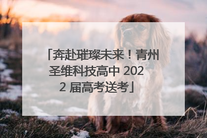 奔赴璀璨未来！青州圣维科技高中 2022 届高考送考