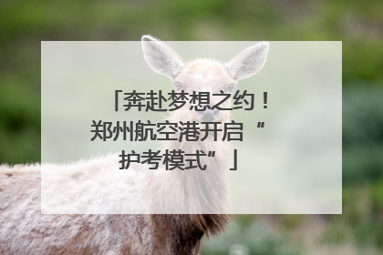 奔赴梦想之约！郑州航空港开启“护考模式”