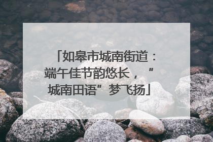 如皋市城南街道：端午佳节韵悠长，“城南田语”梦飞扬