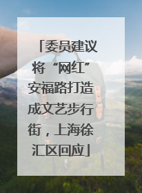委员建议将“网红”安福路打造成文艺步行街，上海徐汇区回应