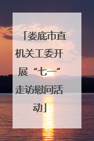 娄底市直机关工委开展“七一”走访慰问活动