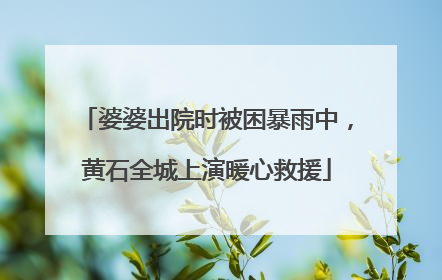 婆婆出院时被困暴雨中，黄石全城上演暖心救援