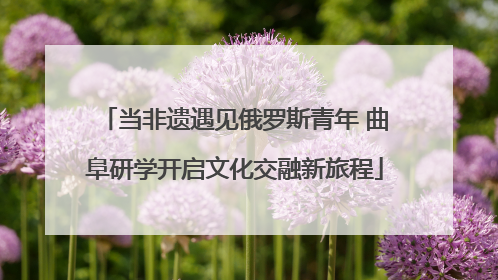 当非遗遇见俄罗斯青年 曲阜研学开启文化交融新旅程