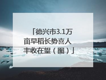 德兴市3.1万亩早稻长势喜人 丰收在望（图）