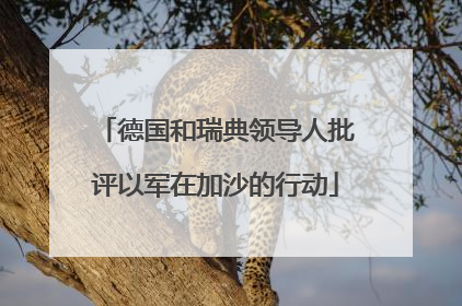 德国和瑞典领导人批评以军在加沙的行动