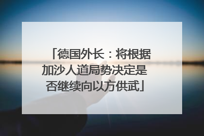 德国外长：将根据加沙人道局势决定是否继续向以方供武