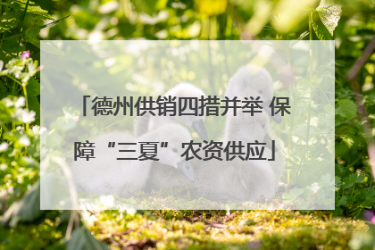 德州供销四措并举 保障“三夏”农资供应