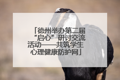 德州举办第二届“启心”研讨交流活动——共筑学生心理健康防护网