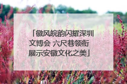 徽风皖韵闪耀深圳文博会 六尺巷领衔展示安徽文化之美