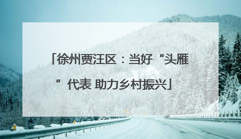 徐州贾汪区：当好“头雁”代表 助力乡村振兴