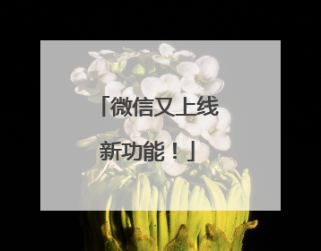 微信又上线新功能！