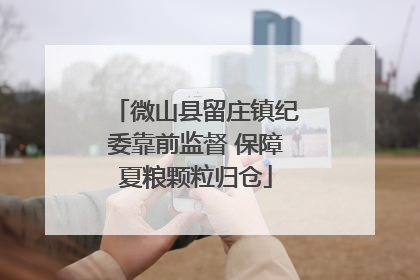 微山县留庄镇纪委靠前监督 保障夏粮颗粒归仓