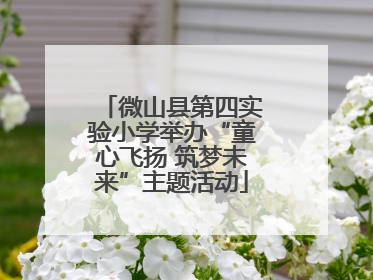 微山县第四实验小学举办“童心飞扬 筑梦未来”主题活动