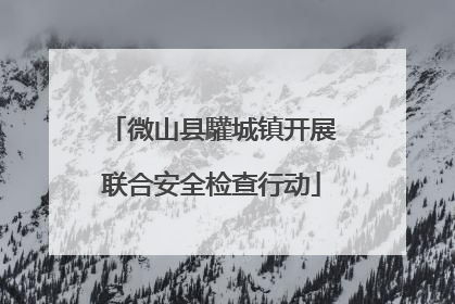 微山县驩城镇开展联合安全检查行动