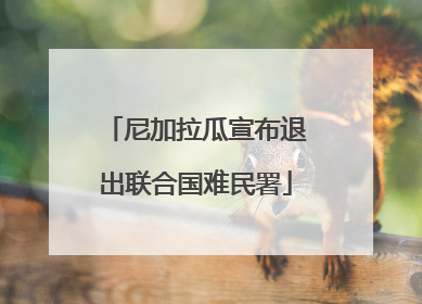 尼加拉瓜宣布退出联合国难民署