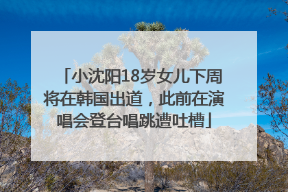 小沈阳18岁女儿下周将在韩国出道，此前在演唱会登台唱跳遭吐槽