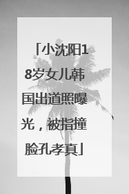 小沈阳18岁女儿韩国出道照曝光，被指撞脸孔孝真