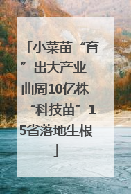 小菜苗“育”出大产业 曲周10亿株“科技苗”15省落地生根