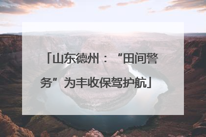 山东德州：“田间警务”为丰收保驾护航