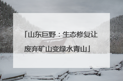 山东巨野：生态修复让废弃矿山变绿水青山