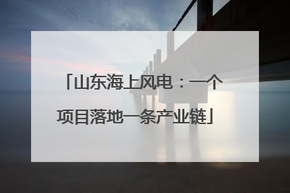 山东海上风电：一个项目落地一条产业链