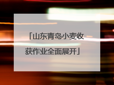 山东青岛小麦收获作业全面展开