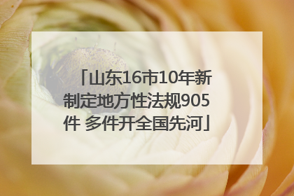 山东16市10年新制定地方性法规905件 多件开全国先河