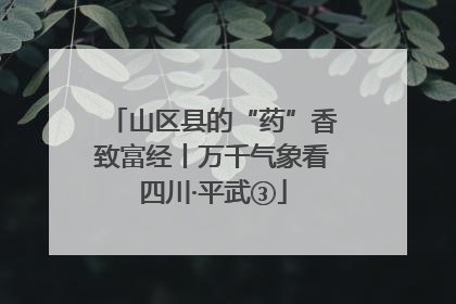 山区县的“药”香致富经丨万千气象看四川·平武③