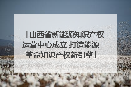 山西省新能源知识产权运营中心成立 打造能源革命知识产权新引擎