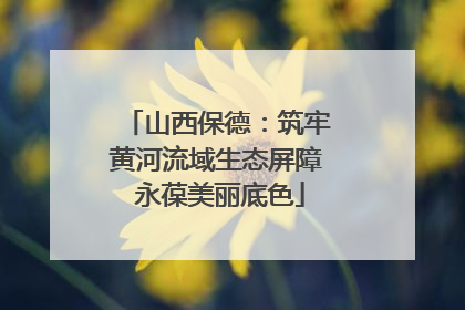 山西保德：筑牢黄河流域生态屏障 永葆美丽底色