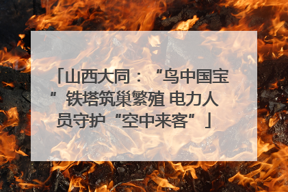 山西大同：“鸟中国宝”铁塔筑巢繁殖 电力人员守护“空中来客”