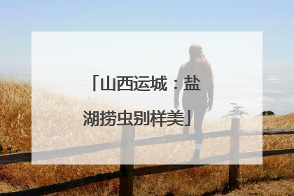 山西运城：盐湖捞虫别样美