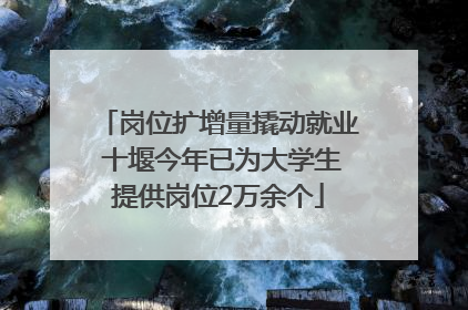 岗位扩增量撬动就业 十堰今年已为大学生提供岗位2万余个