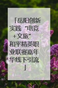 岳阳创新实践“电竞+文旅” 和平精英职业联赛嘉年华线下引流